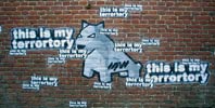 lukedaduke | tilburg | netherlands (11 votes)