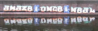once | amaze | neal | hague | water | 3-d | netherlands (20 votes)