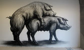 roa | pig | amsterdam | netherlands (26 votes)