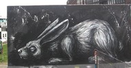 roa | rabbit | amsterdam | netherlands (12 votes)