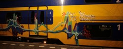 shlomo | night | train | netherlands (37 votes)