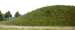 waynehorse | green | netherlands | contextual-face | grass (10 votes)