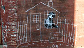 banksy | chalk | boston | usa | north-america (22 votes)