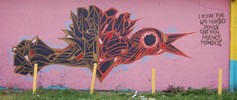 weah | houston | bird | north-america (1 vote)