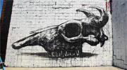 roa | nyc (20 votes)