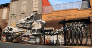 roa | nyc (24 votes)