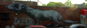 roa | nyc (23 votes)