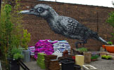 roa | bird | nyc (20 votes)