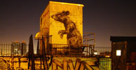 roa | night | rat | nyc (30 votes)