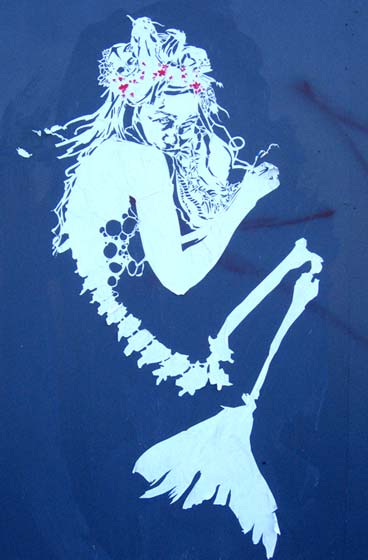 swoon | queens | nyc