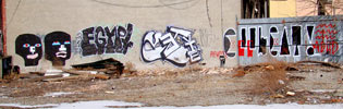 cahbasm | faro | yeti | coolcat | nyc (1 vote)