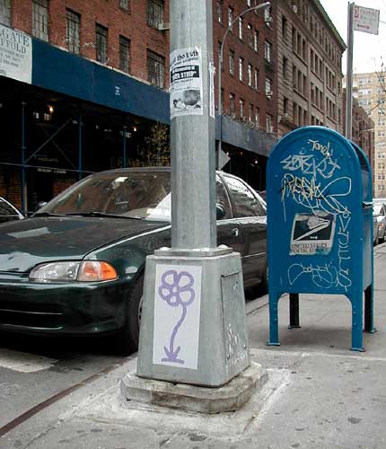 mdefeo | flower | nyc