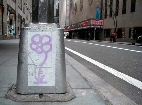 mdefeo | flower | nyc