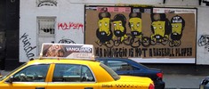 mr-dimaggio | nyc (11 votes)