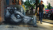 roa | nyc (20 votes)