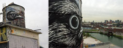 roa | bird | nyc (24 votes)