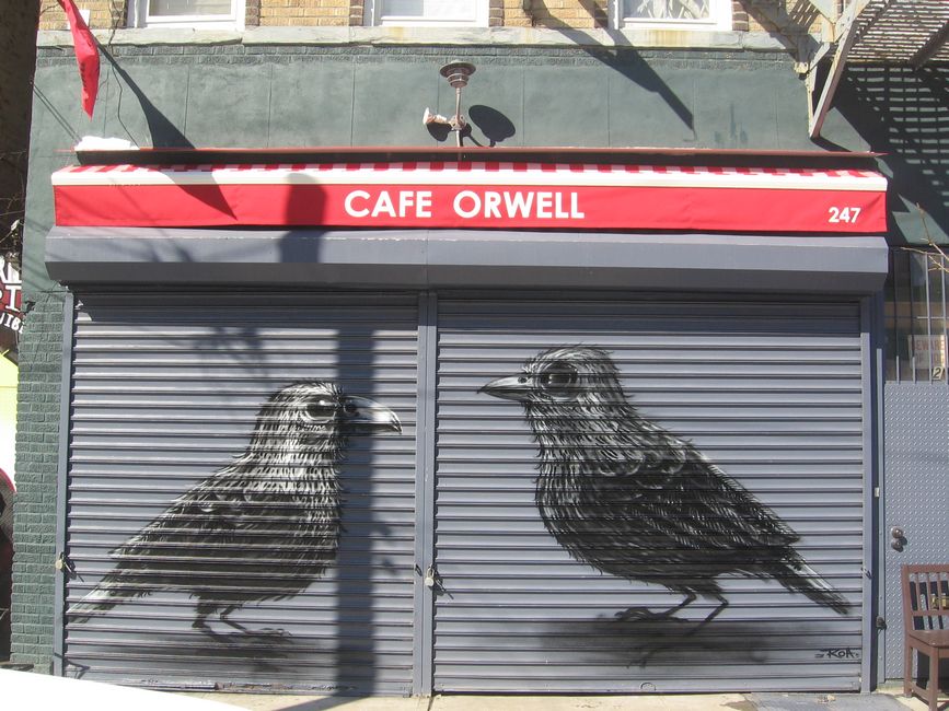 roa | bird | shutters | williamsburg | nyc