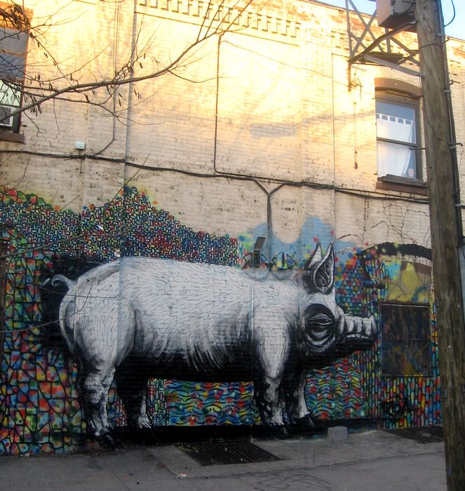 roa | pig | williamsburg | nyc