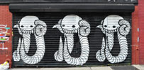 swampy | shutters | nyc (19 votes)