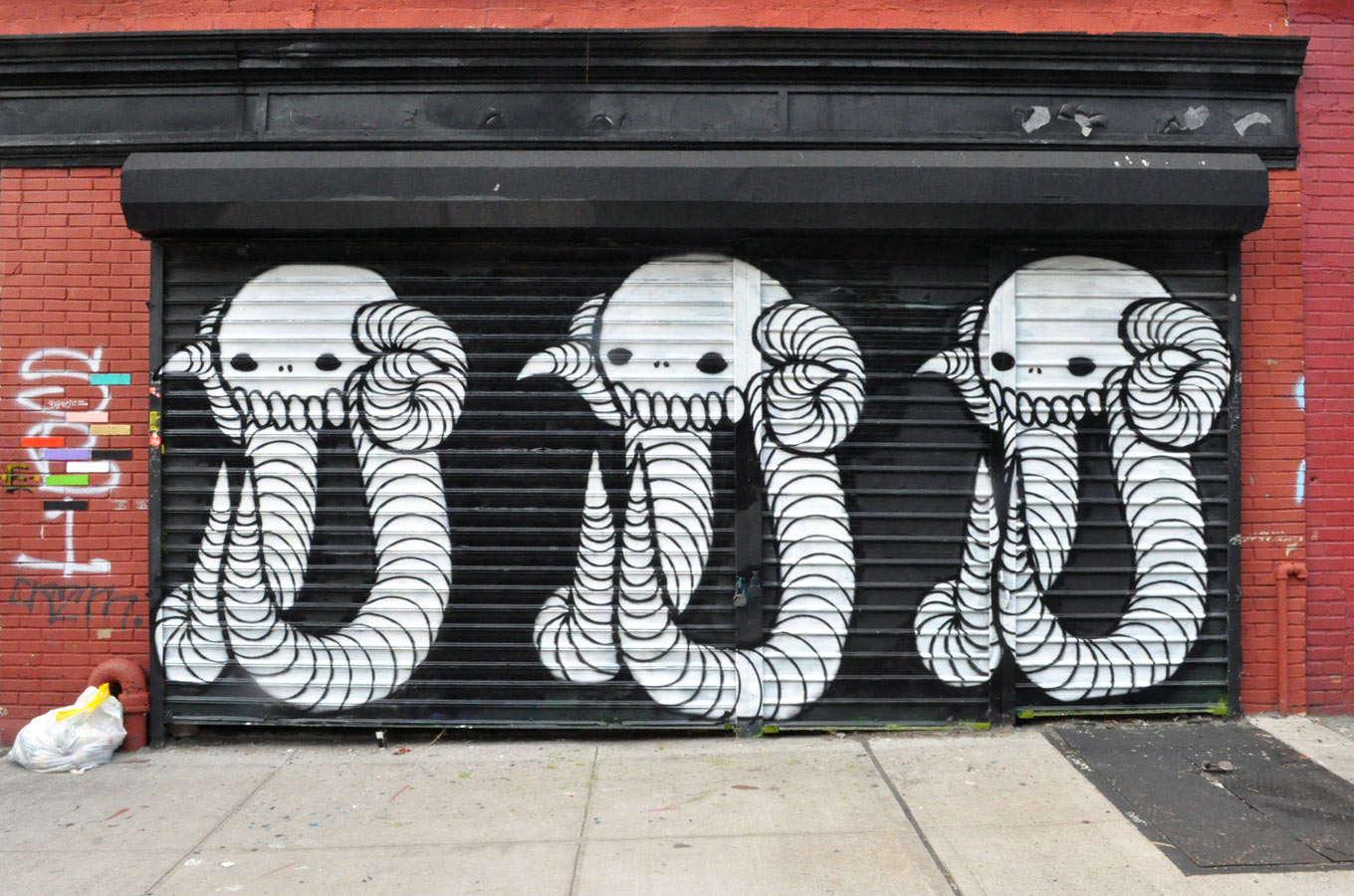 swampy | shutters | nyc