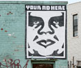 shepard-fairey | skewville | nyc (16 votes)