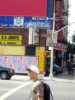 obey | tonek | nyc (1 vote)