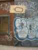 bacteria | nyc (3 votes)