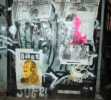 bast | birdie | nyc (1 vote)