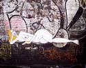 celso | elc | nyc