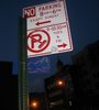 celso | elc | night | nyc (6 votes)