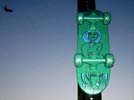 celso | elc | skate | nyc | green (12 votes)