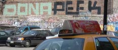 dona | peek | roller | nyc (3 votes)