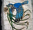 elbow-toe | bird | nyc (13 votes)