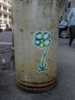 mdefeo | flower | nyc (2 votes)
