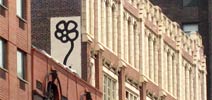 mdefeo | flower | roof | nyc (6 votes)