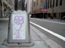 mdefeo | flower | nyc (3 votes)