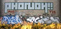 phonoh | pgism | nyc (2 votes)