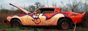 plasmaslugs | car | nyc (20 votes)