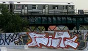 riots | nyc (21 votes)