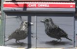 roa | bird | shutters | williamsburg | nyc (13 votes)