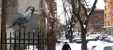 roa | bird | snow | nyc (29 votes)