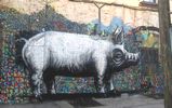 roa | pig | williamsburg | nyc (20 votes)