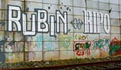 rubin | ripo | nyc (18 votes)
