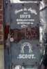 scout | nyc