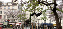 -g- | 3-d | paris (37 votes)