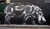 philippe-baudelocque | chalk | paris | spring2010 (91 votes)