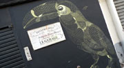 philippe-baudelocque | bird | chalk | paris (59 votes)