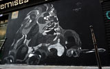 philippe-baudelocque | lion | chalk | paris (53 votes)