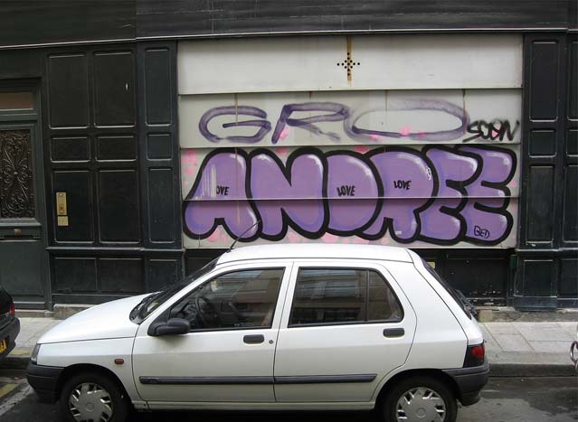 andre | purple | shutters | paris