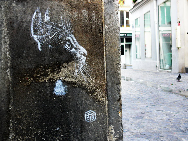 c215 | cat | stencil | paris